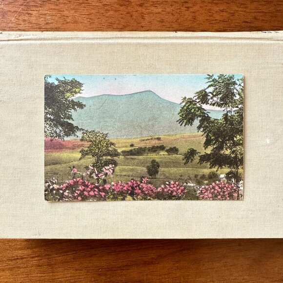 Massanutten Springs Station Harrisonburg Virginia Postcard - Picture 12 of 14